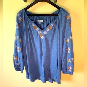 Adorable Blue Top 3X